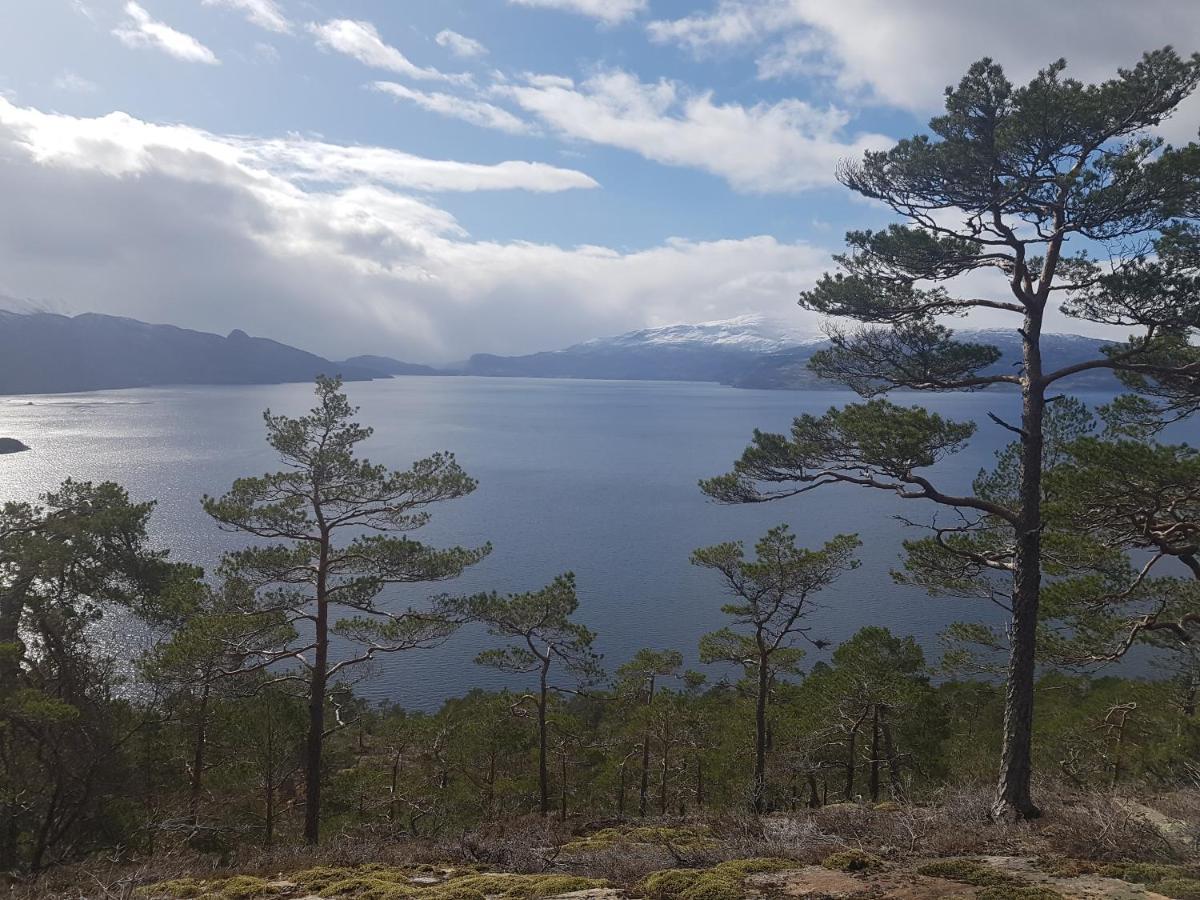 Treehut, Nature, Birds, Silence And Fjord Samlanes Exterior photo